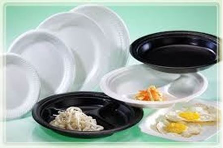 Disposable Foam Plates, Bowls, & Trays