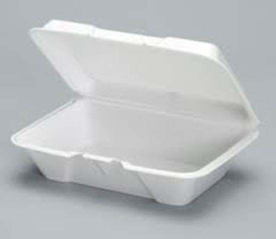 206 Foam Lunch Box (9x6.5x2.25)