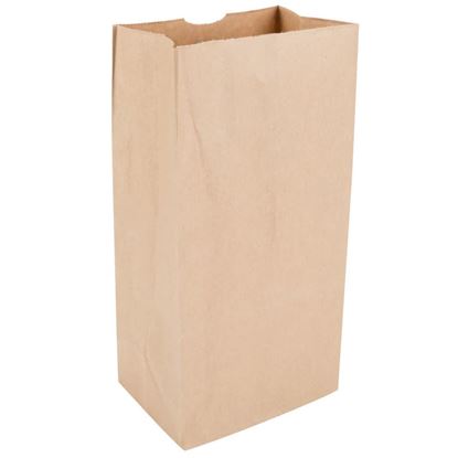 Picture of #10 LD Brown Paper Bag (500pcs)