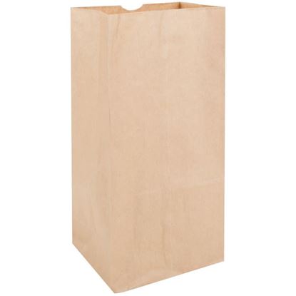 Picture of #25 LD Brown Paper Bag (500pcs)