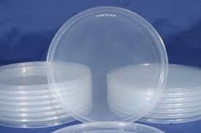 Picture of Plastic Deli Container Lids Fit 8oz/16oz/32oz (500pc/cs)