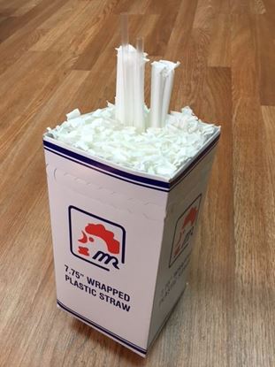 Picture of 7.75" Giant Wrapped Straws 300pc/20PK/cs