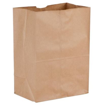 Picture of #1/6 LD Brown Paper Bag (500pcs)