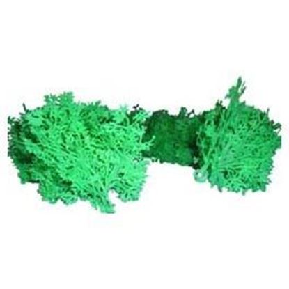 Picture of 36" Green Decorative Parsley Garland