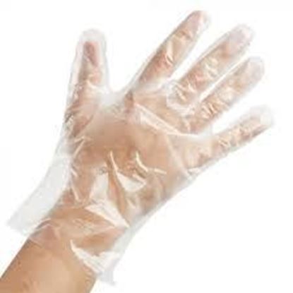 Picture of PVC/TPE Clear Glove Large 200/pack